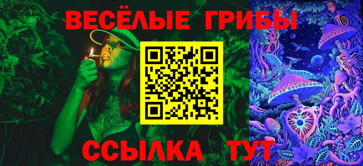 Галлюциногенные грибы Psilocybe  Вход с VPN  Псилоцибиновые грибы Cubensis  Медногорск 